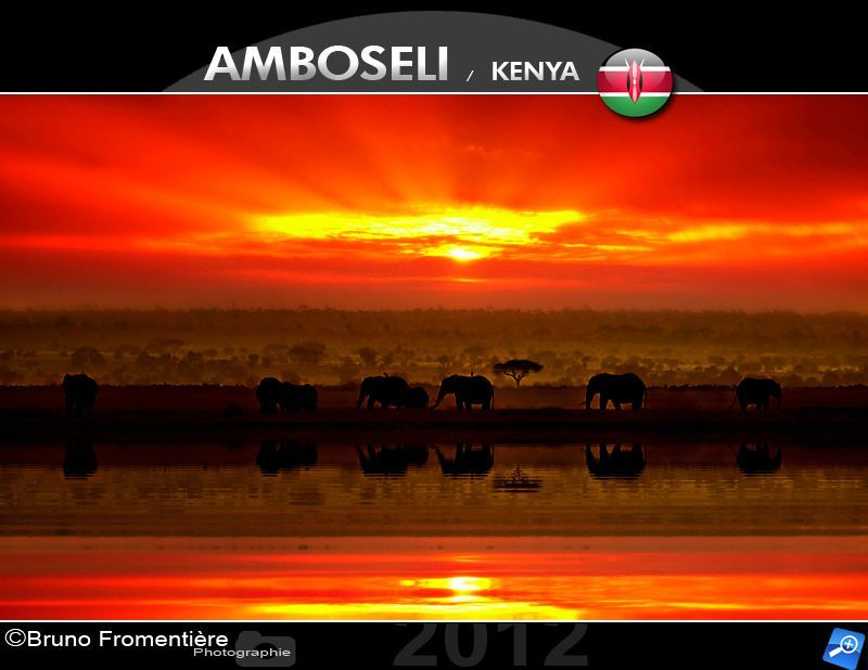Water for elephant 800