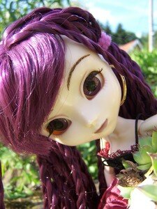 pullip nomado