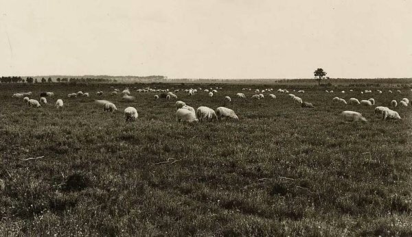 landesanspinsMF2