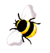 abeille444