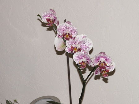 PICT0003