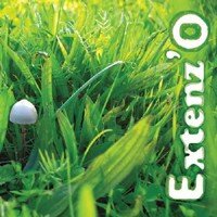 extenzogrislo