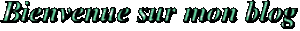 text bienvenue