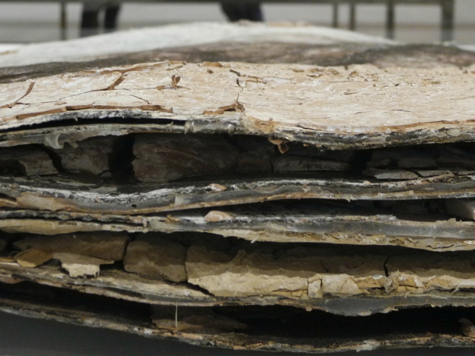 Anselm Kiefer Pour Paul Celan Grand Palais Anselm Kiefer expose à Paris - main tenant