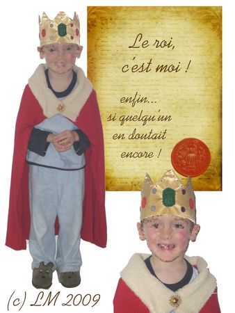 202___D_guisement_de_roi_copie
