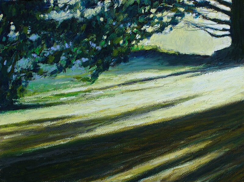 lumière en sous bois 5 aout 2014