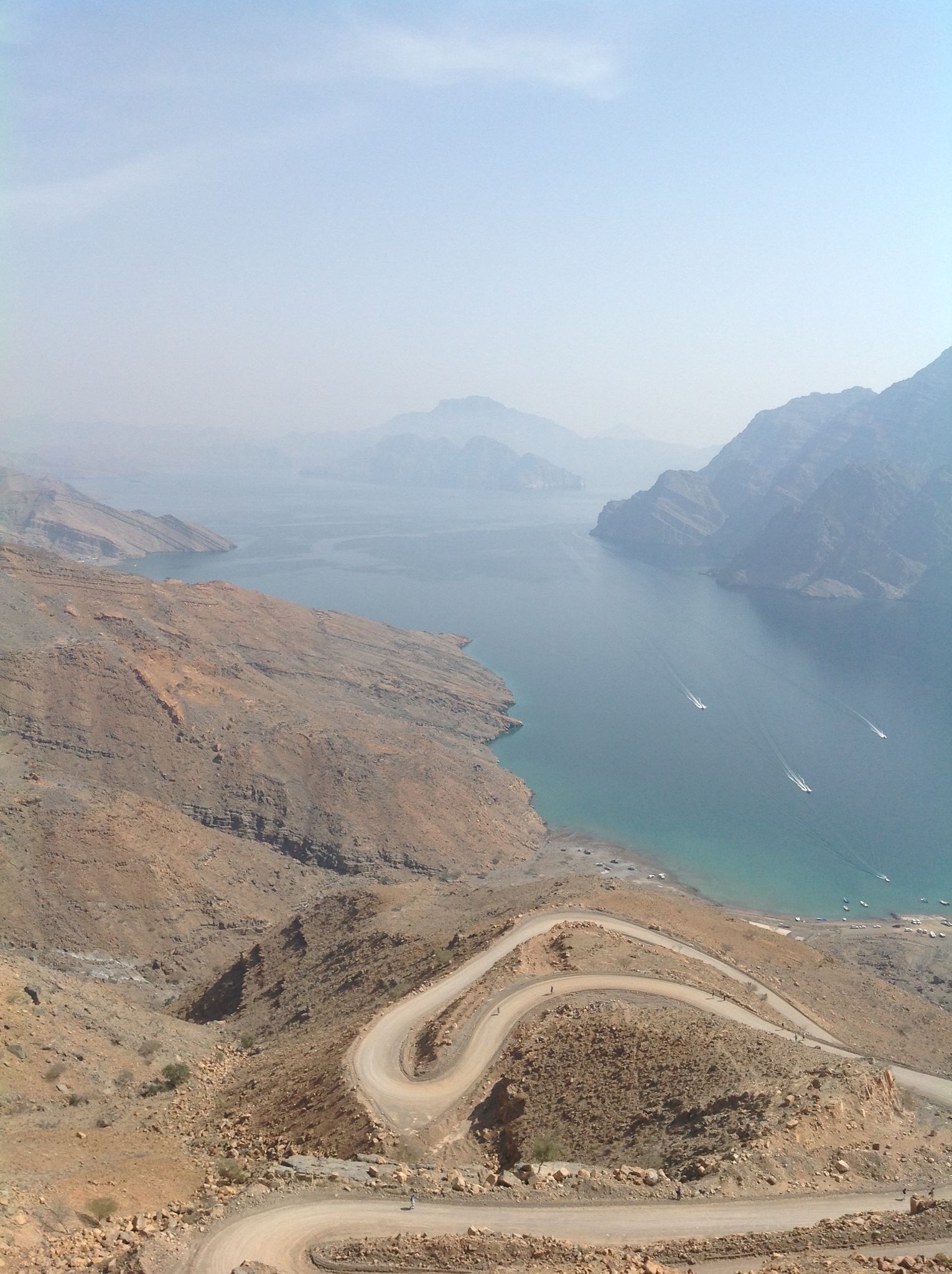 rencontre avec les dauphins dubai