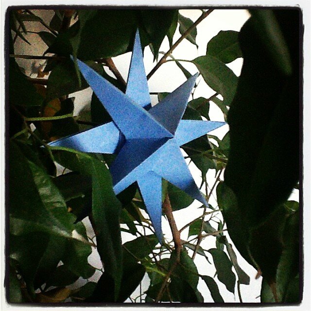 etoile_arbre