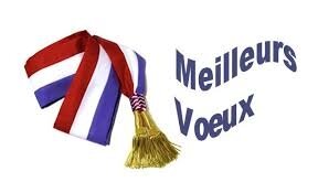 Résultat de recherche d'images pour "voeux du maire"