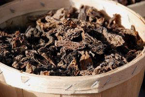 Drome_provencale_055