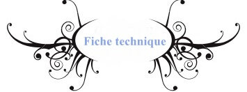 Fiche Technique