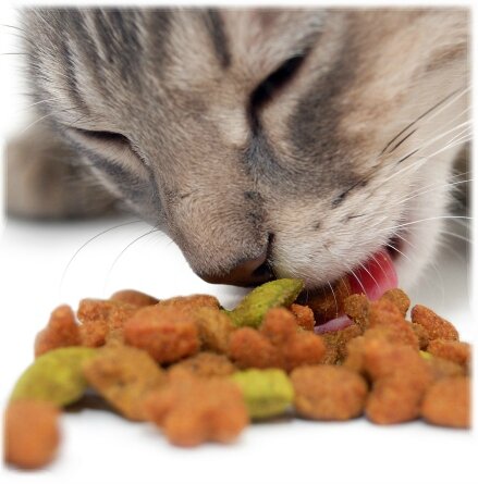 NaturL Cook chat (2)