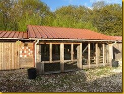 P1110221 P1110221