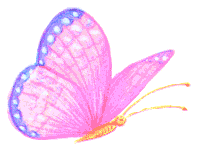 papillon_multicolors