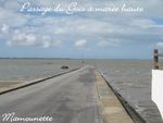 Noirmoutier_samedi_13_sept_08_002