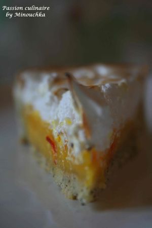 tarte_orange_meringu_e_3