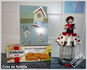 N_f_lie_janvier_2010