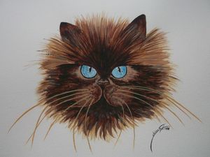 BEAU CHAT , Peinture à laquarelle
