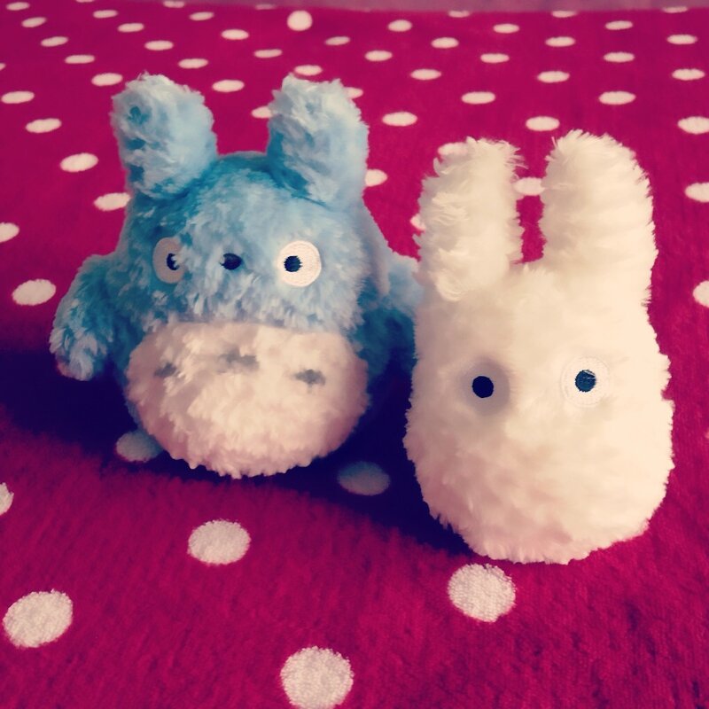 Team Totoro