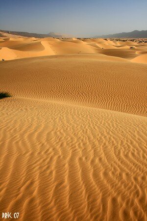 mauritanie_2070