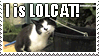 LOLcat_Stamp_by_catluvr2