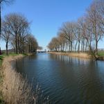 SLUIS____trier32