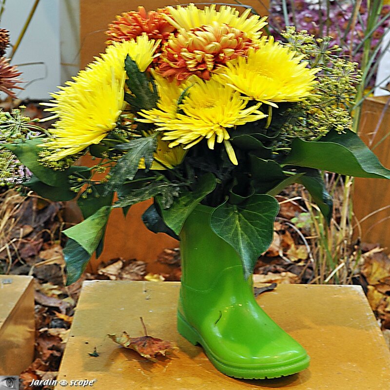 Les Chrysanthèmes, les stars de la Toussaint