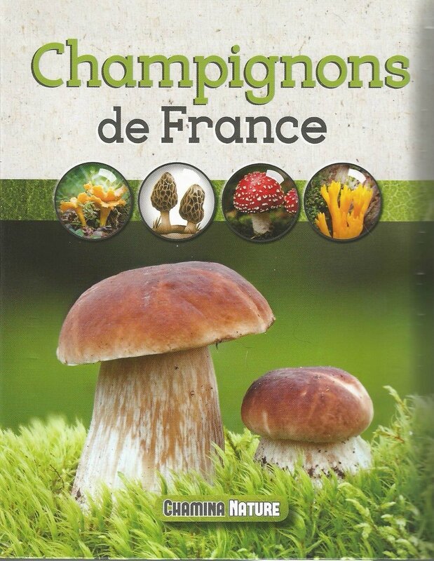 champignons de France