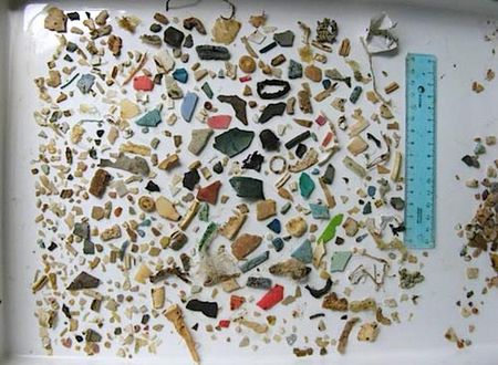 sea_turtle_plastic