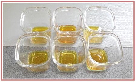 flan à la vanille en multi délices6 flan à la vanille en multi délices6