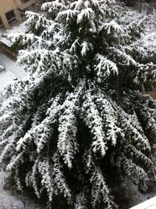 photo_3_