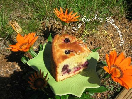 Gâteau aux mûres au fromage blanc et à la crème 022