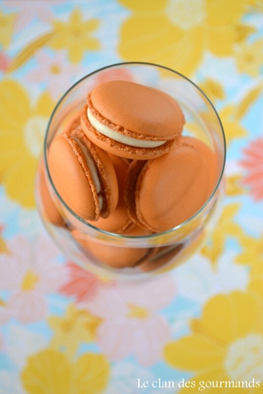 Plaque a Macaron – Maison des Pâtissiers