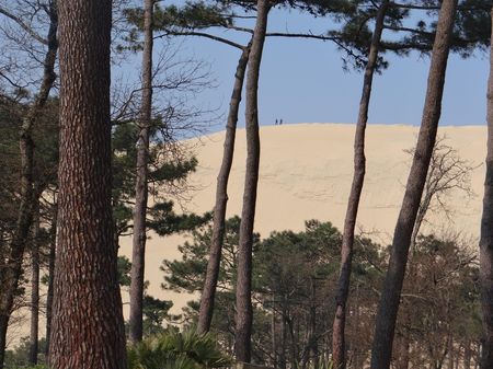 dune du pilat