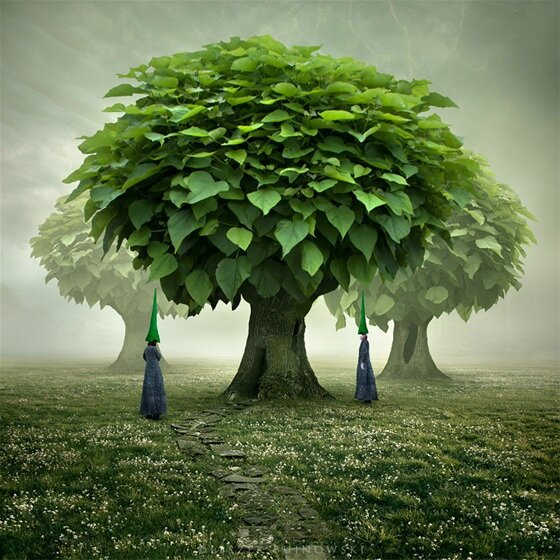 Leszek Bujnowski 4