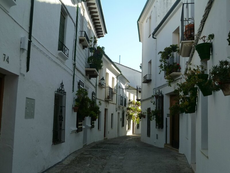 P1050028