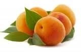 abricots abricots