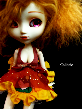 Colibrie_45
