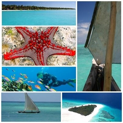 zzzanzibar