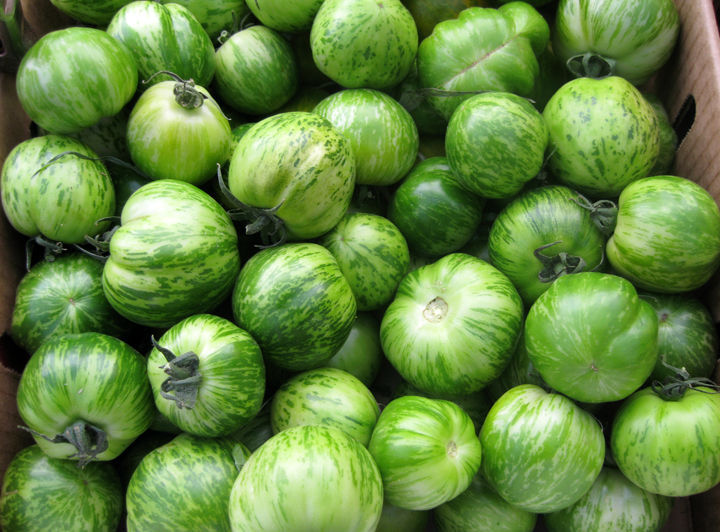 Que faire avec les tomates vertes ?  La ferme de la Courtade