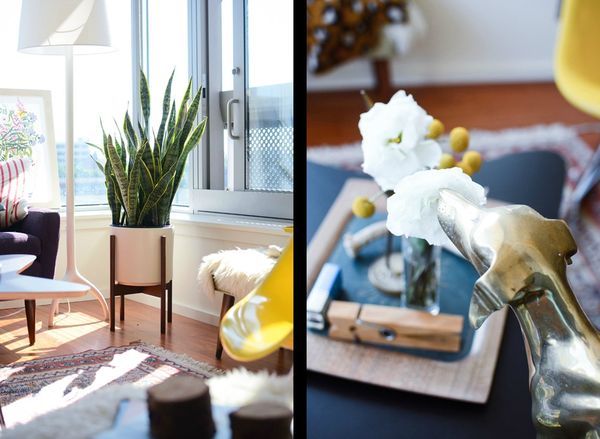 vegetal vintage 5