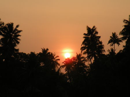 Mysore___Calicut___arriv_e_Cochin_802
