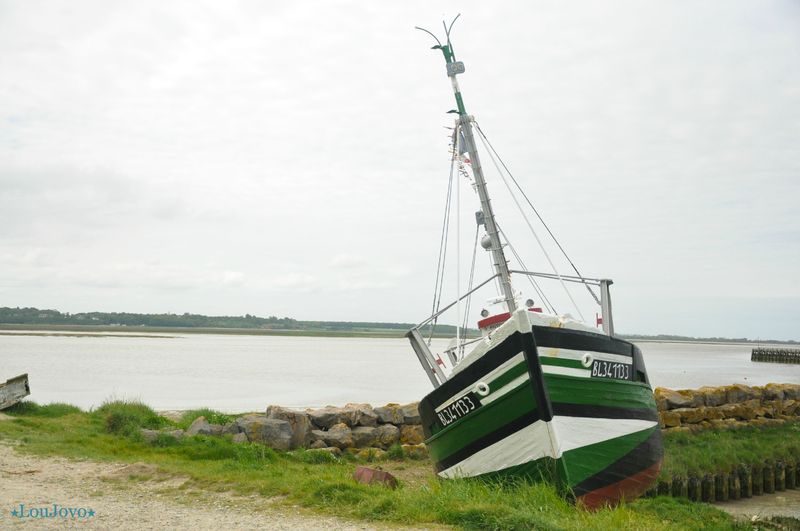 DSC_0893-2 copie