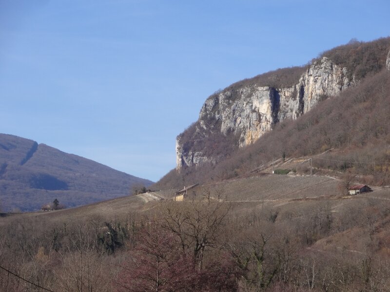N le rocher de manicle et les vignes