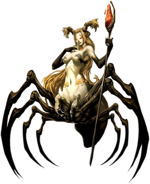 spider_witch