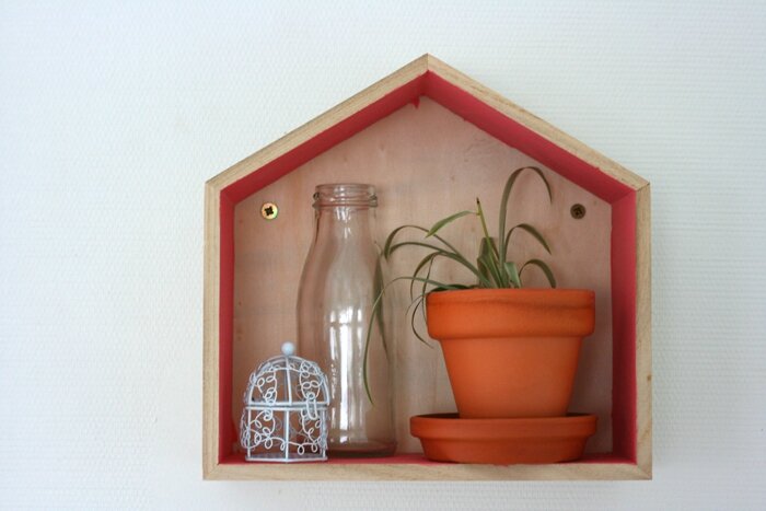 plantes (17)