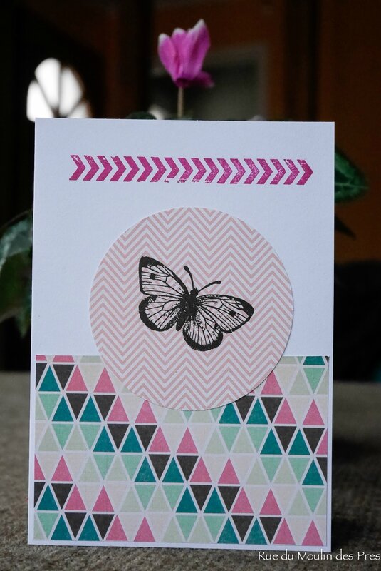 Scrap Carterie Anne 2016 01