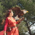 633. Aigles de Beaucaire 2008