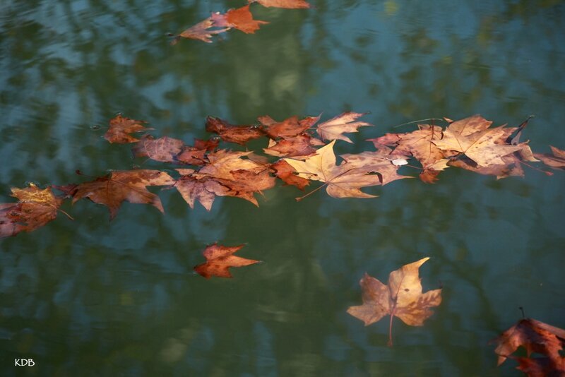 7 2013_2013_11_07_9999_155blog