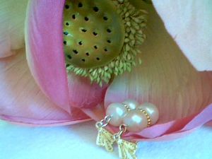2009_02_14_36800